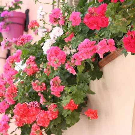 El Pilar Andalucia Estepona